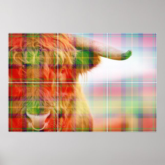 Clan Boyd Tartan & Hairy Coo Poster (Frente)