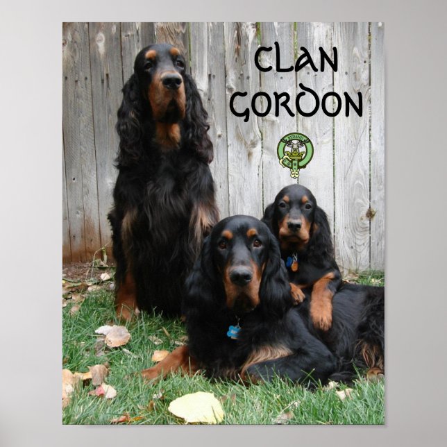 CLAN GORDON Gordon Setter Generations Poster (Frente)