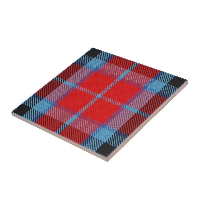 Clan MacTavish Tartan (Lateral)