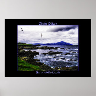 Clare Island Birds Poster Impressão