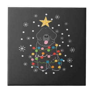 Classe de Árvore de Natal do Cão Terra Nova Newfie