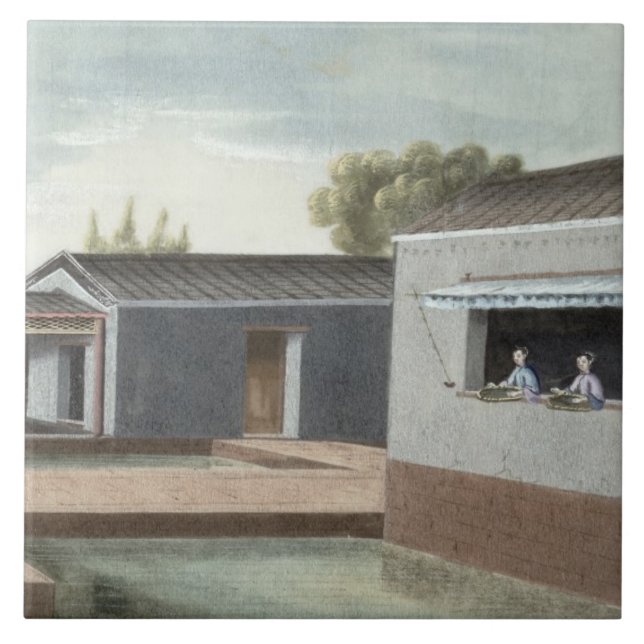 Classificando o chá (w/c no papel) 2 (Frente)