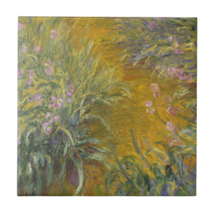 Claude Monet o trajeto através das íris