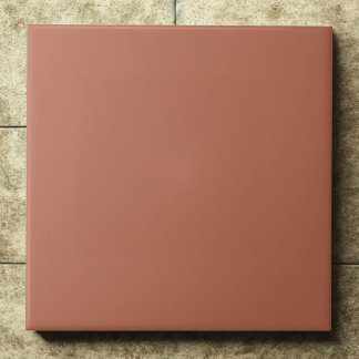 Clay #b66a50 – Warm, Mellow, Natural Orange