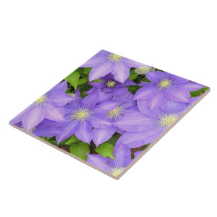 CLEMÁTICA PURPSA (FOTO) GRANDE AZULEJO/TRIVET CERÂ