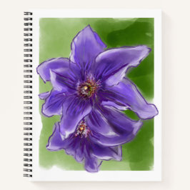 Clematis