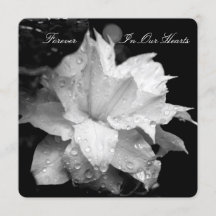 Clematis 2b Anúncio do Memorial Funeral