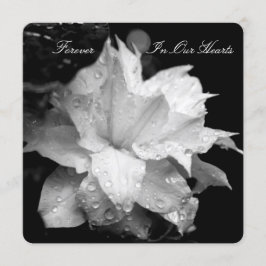 Clematis 2b Anúncio do Memorial Funeral