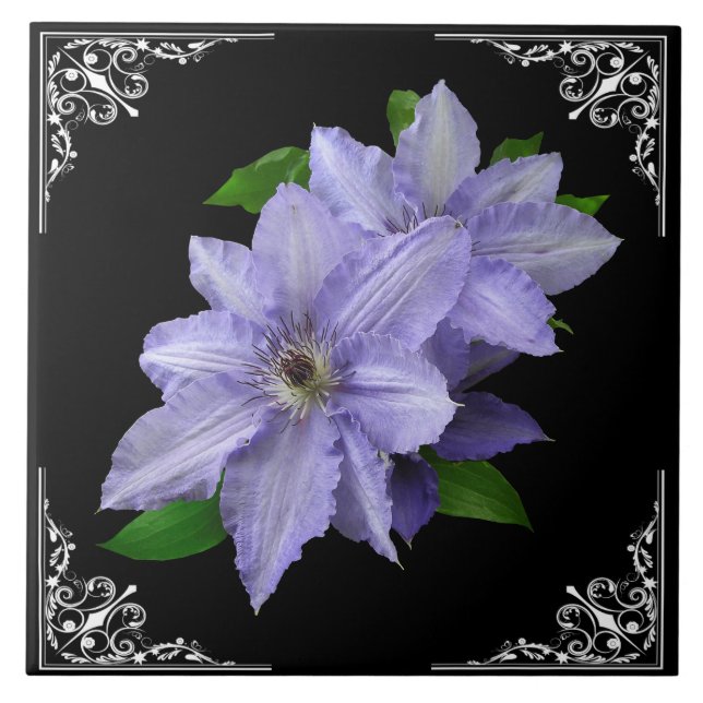 CLEMATIS AZUL NO QUADRO DO VICTORIAN (Frente)