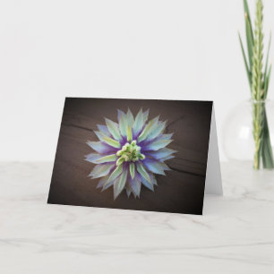 Clematis, cartão