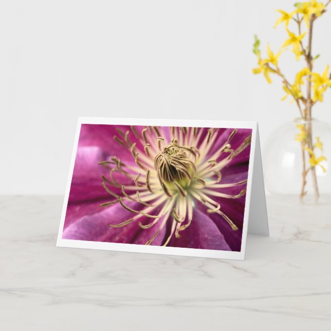 Clematis - Cartão de Saudação (Flor Amarela)