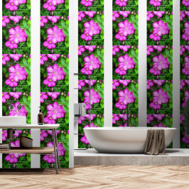 Clematis com romanos 5:3-5