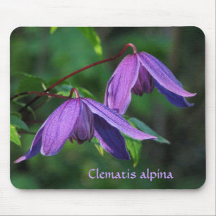 Clematis feito sob encomenda Mousepad