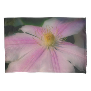 Clematis Flower Pets para Cima Próximo