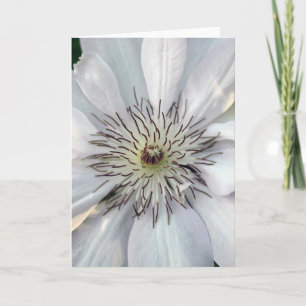 Clematis Fotografia da Natureza em Cartão em Bra