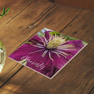 Clematite Roxa em Flor