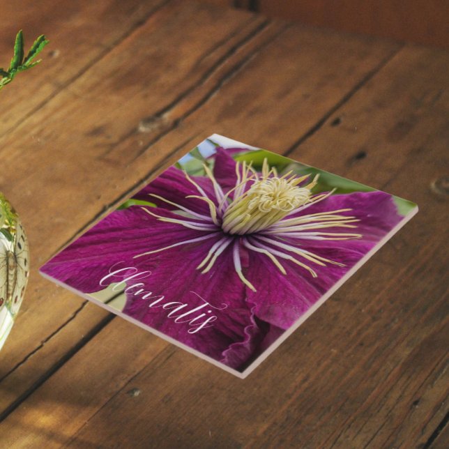 Clematite Roxa em Flor (In Situ)