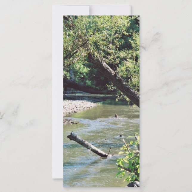 Clinch River Scenic (Frente)