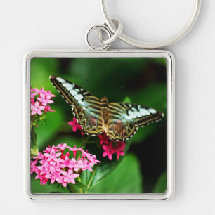 Clipper em Pentas 1 Chaveiro