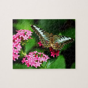 Clipper em Pentas 1 Quebra-cabeça