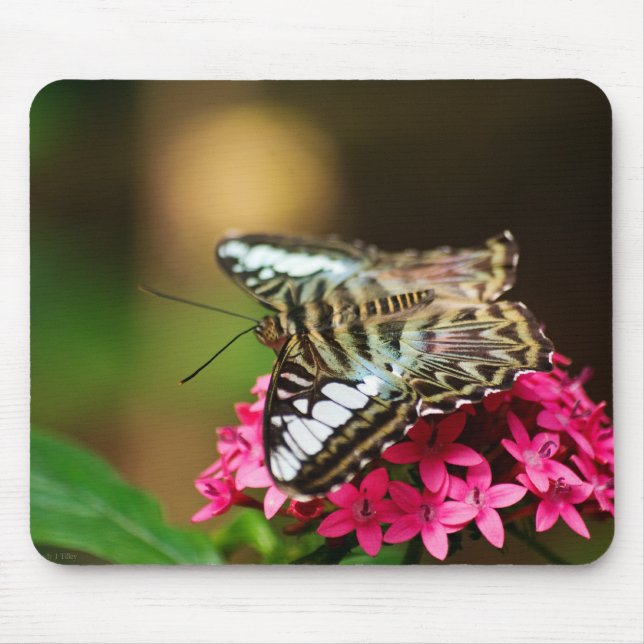 Clipper em Pentas 3 Mousepad (Frente)