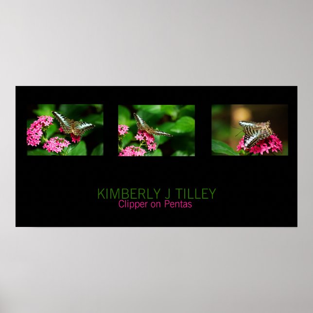 Clipper na Impressão Pentas Landscape (Frente)