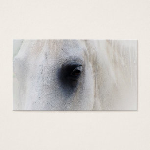 Close up bonito do cavalo branco