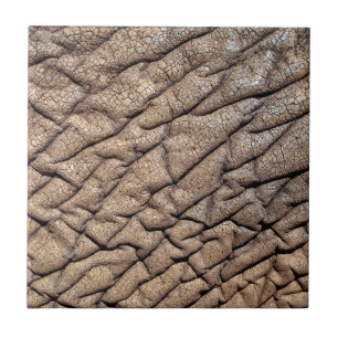 Close-Up Da Pele De Elefante Africano