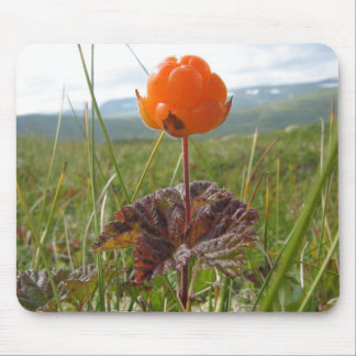 Cloudberry Mousepad