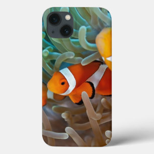 Clownfish