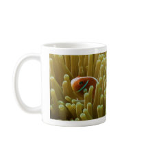 Clownfish na grande caneca de café do recife de