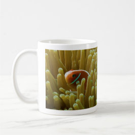 Clownfish na grande caneca de café do recife de