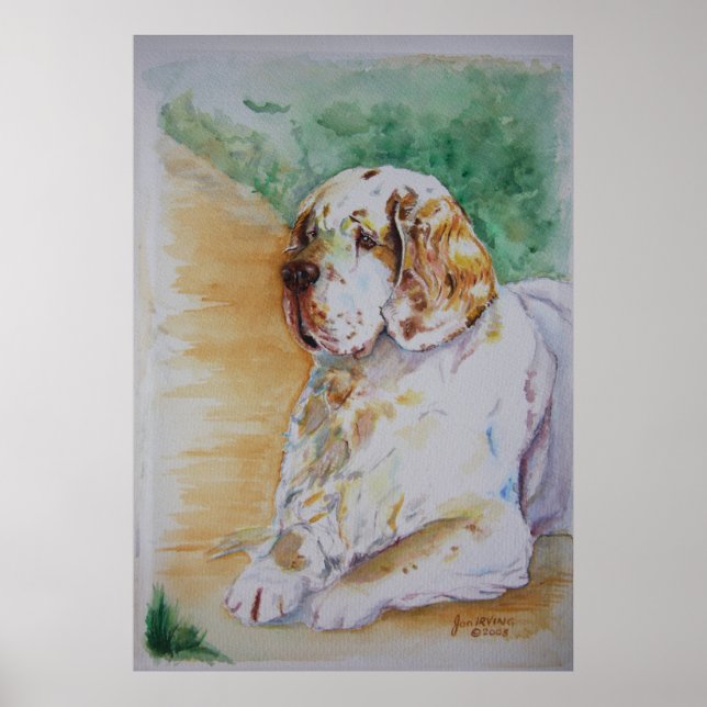 Clumber Spaniel - Meu Impressão de Amigo (Frente)
