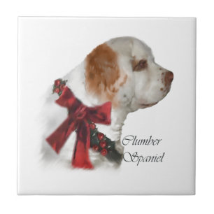 Clumber Spaniel Natal