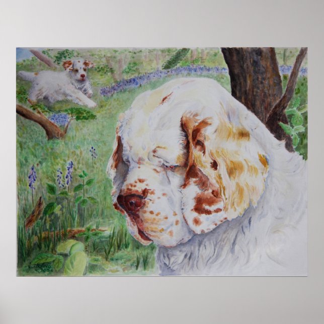 Clumber Spaniel - Primavera Woodland impressão (Frente)