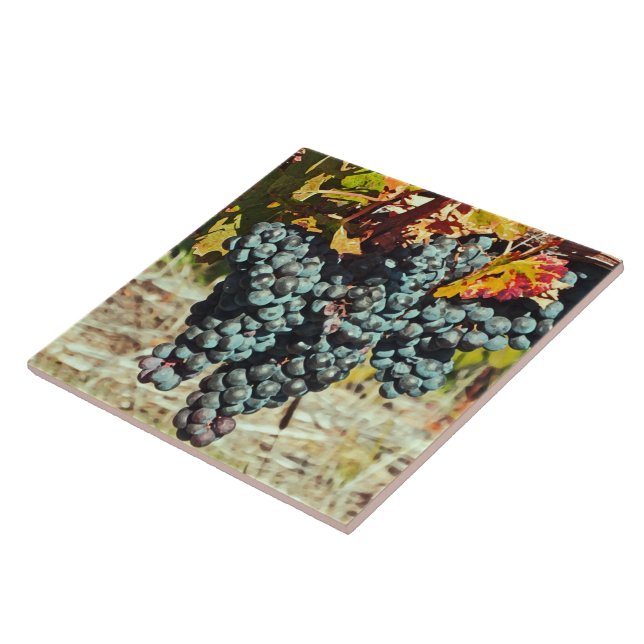 "CLUSTER DE UVAS PERIGOSAS DE VINHO" (Lateral)