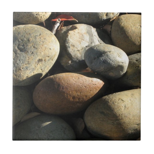 Cluster Surfaces_Rocks&Shade Legal naturalmente (Frente)