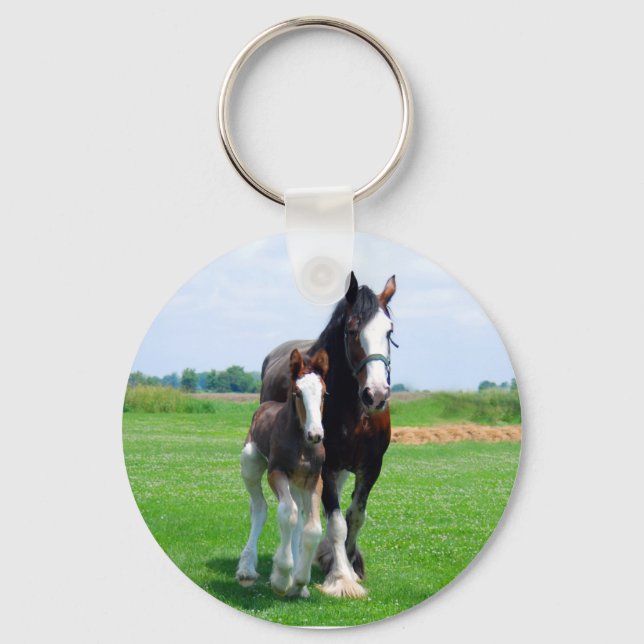 Clydesdale e chaveiro (Frente)