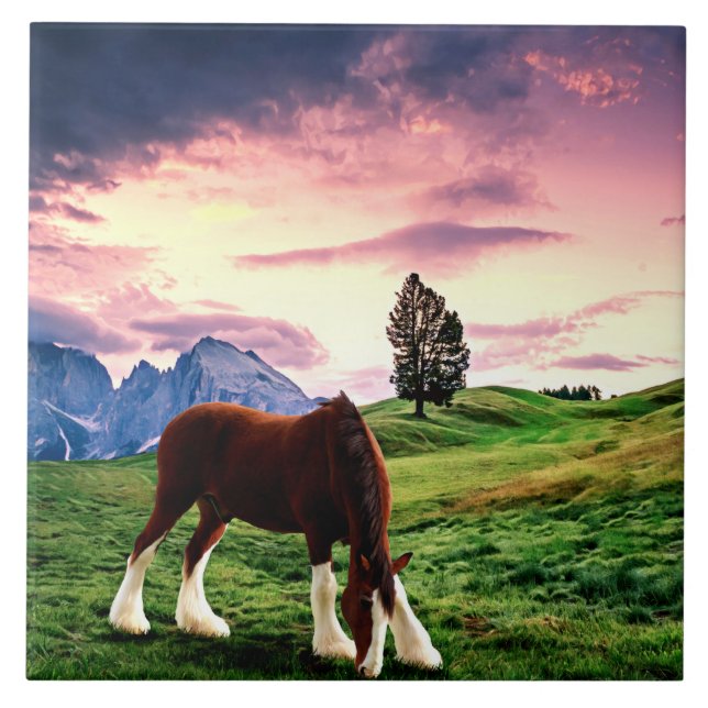 Clydesdale Sunset (Frente)