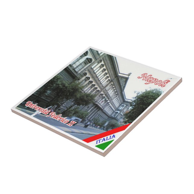 CMP048 NAPLES, Universidade Federico II, (Lateral)