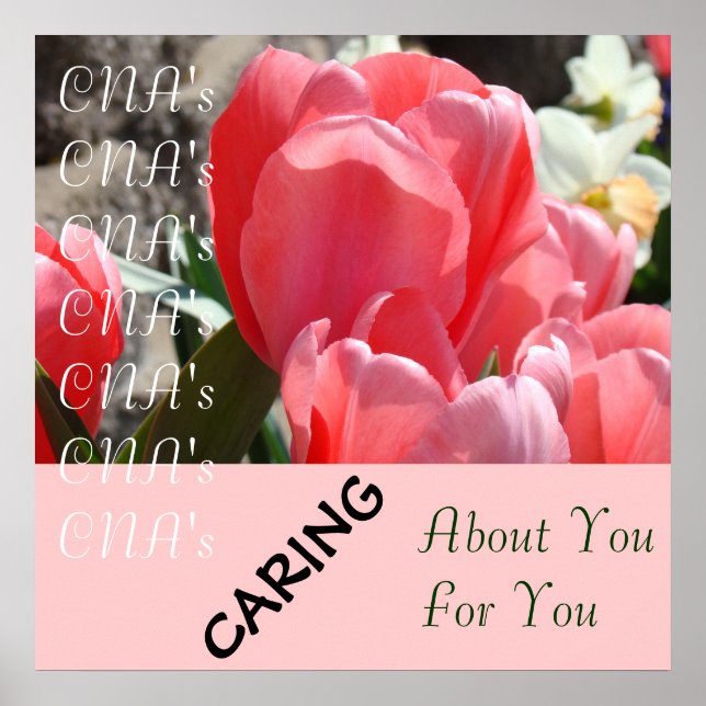 CNA's CNA's Caring on You Caring for You poster (Frente)