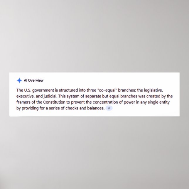 Co-Equal Branches of Government Poster (Frente)