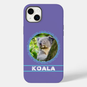coala agradável