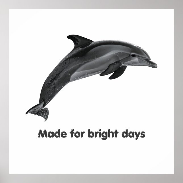 Coastal Dolphin Poster (Frente)