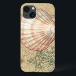 Coastal Map Collage<br><div class="desc">There's nothing quite like this map of the sea life. This translucent collection of these seashells will go great on any products. It gives a vintage feel to the image and captures the sea life underwater. It includes a stripe pink and white seashell and a sepia colored conch shell.</div>