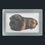 Cobaia<br><div class="desc">Cobaia furred marrom e preta adorável.</div>