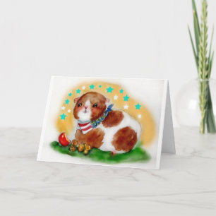 Cobaia 4o do cartão de julho!