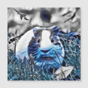 cobaia azul
