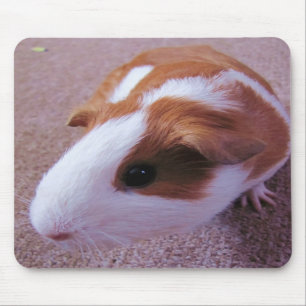 Cobaia Mousepad