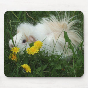 Cobaia Mousepad